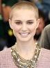 portman calva